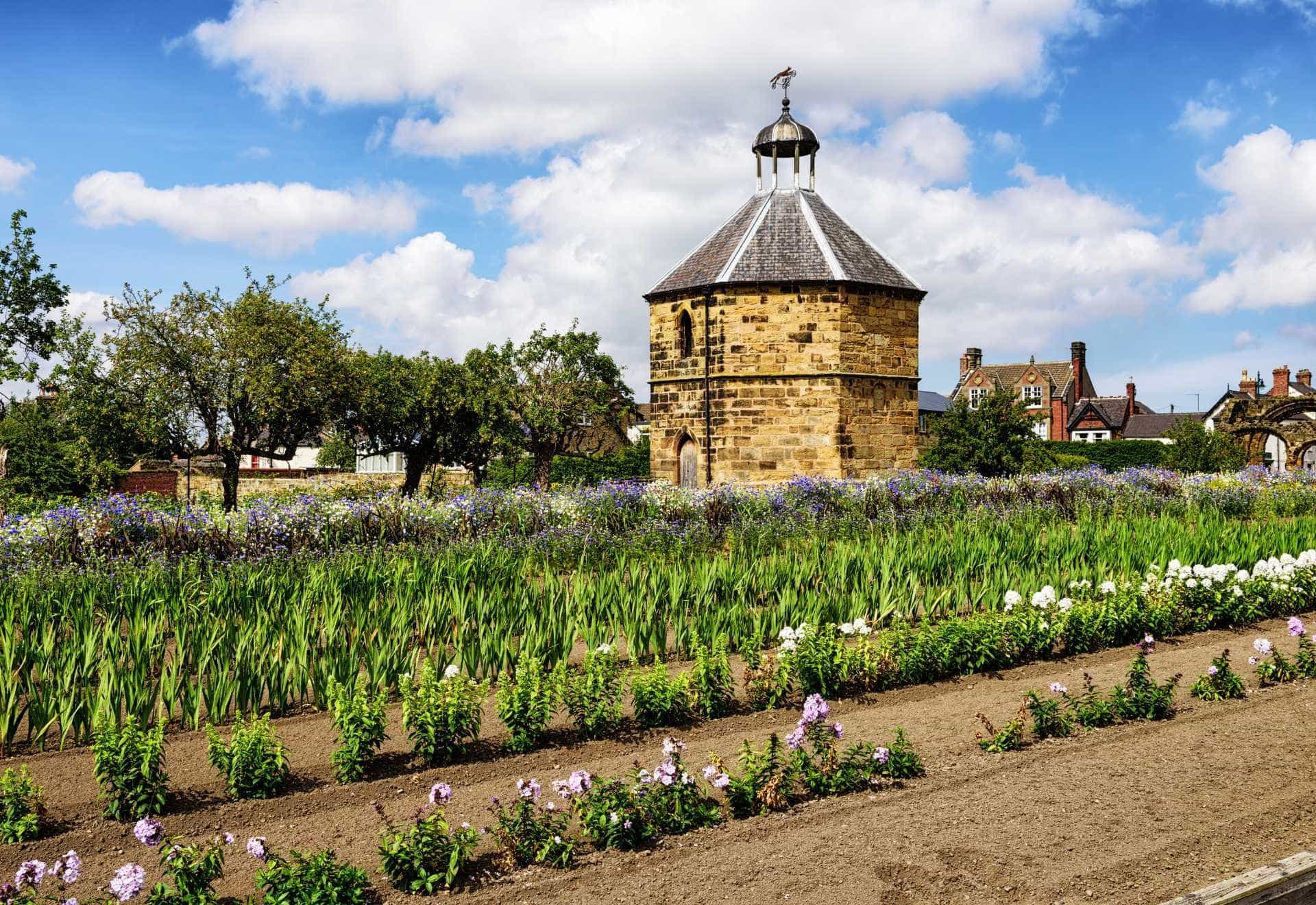 Live market data in Darlington